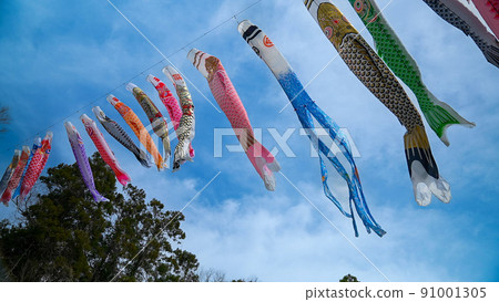 Carp streamer 91001305