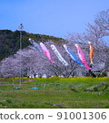 Carp streamer 91001306