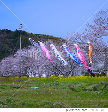 Carp streamer 91001306