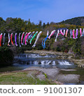 Carp streamer 91001307