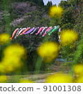 Carp streamer 91001308