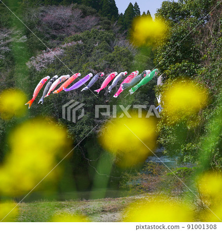 Carp streamer 91001308