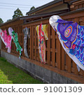 Carp streamer 91001309