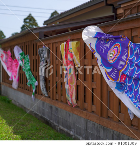 Carp streamer 91001309