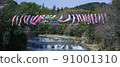 Carp streamer 91001310
