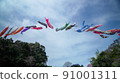 Carp streamer 91001311