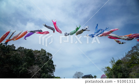 Carp streamer 91001311