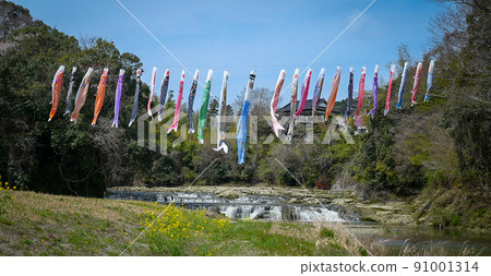 Carp streamer 91001314