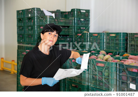 Woman with documents checking quality of mango fruits before import at factory 91001487