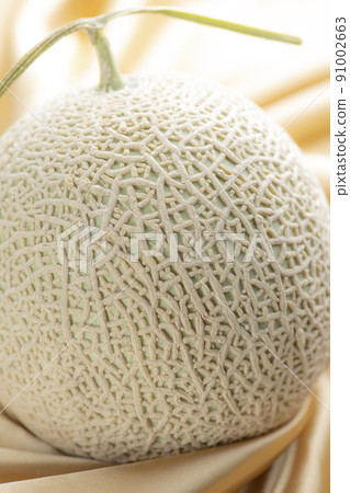 Earl melon on the background of champagne gold silk fabric 91002663