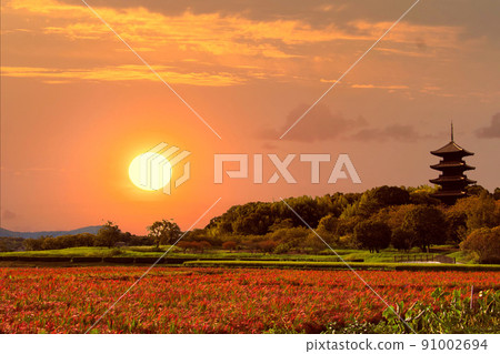 美麗的秋天鄉村 | 備中國分寺的夜景 美麗的秋天鄉村 | 備中國分寺的夜景 91002694