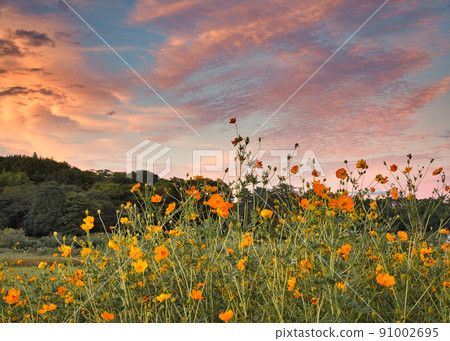 日落天空和宇宙 91002695