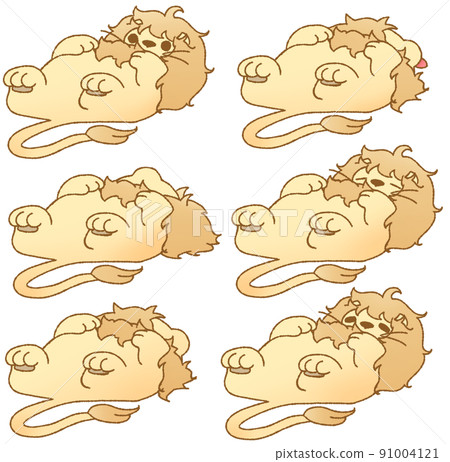 6 species of lions relaxing in the navel 6 species of lions relaxing in the navel 91004121