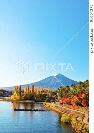 山梨縣河口湖秋季富士山 山梨縣河口湖秋季富士山 91004372