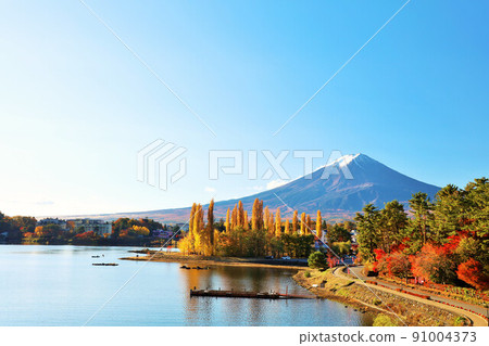 山梨縣河口湖秋季富士山 91004373