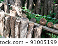 Cultivation of shiitake mushrooms, mushrooms, and logs 91005199