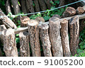 Cultivation of shiitake mushrooms, mushrooms, and logs 91005200