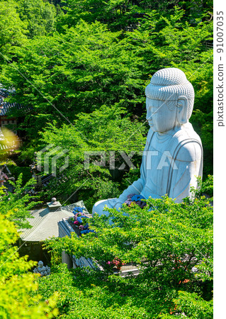 Fresh green Buddha at Tsubosaka Temple in Nara Prefecture 91007035