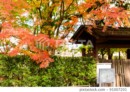 細川監獄園“庭園中的紅葉” 旅遊景點:日本庭園 細川監獄園“庭園中的紅葉” 旅遊景點:日本庭園 91007201