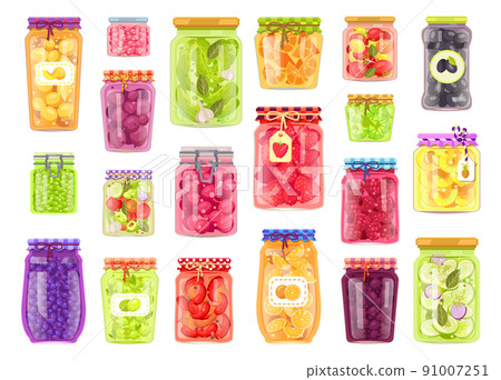 Preserved Vegetables Fruits Vector Illustration 91007251