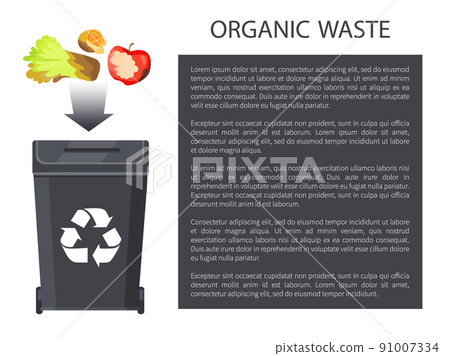 Organic Waste Throwing in Bin Vector Illustration Organic Waste Throwing in Bin Vector Illustration 91007334