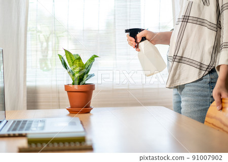 A young woman takes care of her houseplants gently by spraying them. Home gardening concept. A young woman takes care of her houseplants gently by spraying them. Home gardening concept. 91007902