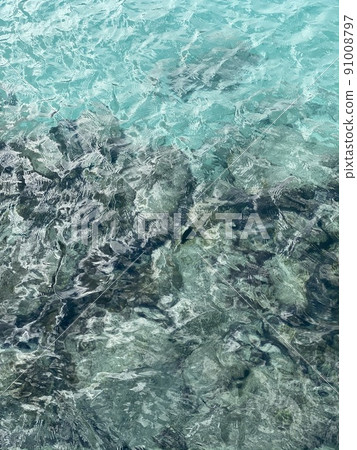 海 91008797