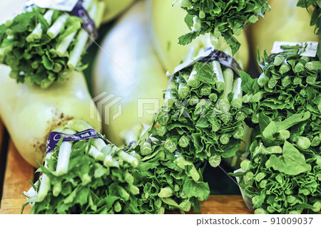 日本蘿蔔 91009037