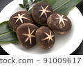 Shiitake mushroom decoration 91009617