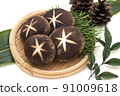 Shiitake mushroom decoration 91009618