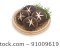 Decorative shiitake mushroom 91009619