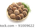 Shiitake 91009622