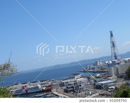 Kurihama flower country Kurihama flower country 91009795