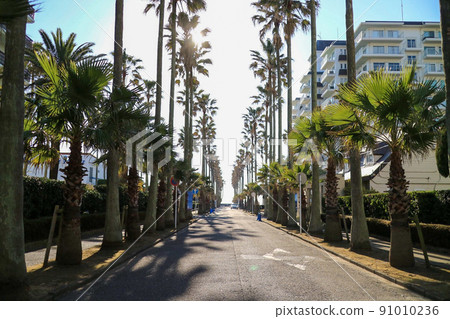 Zushi Marina A resort-like road 91010236