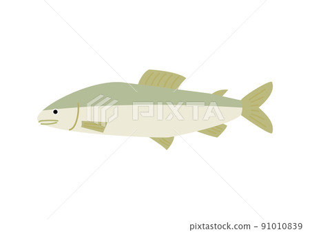 一條香魚 一條香魚 91010839