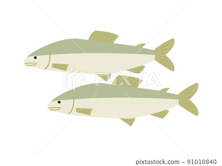 兩條香魚 91010840