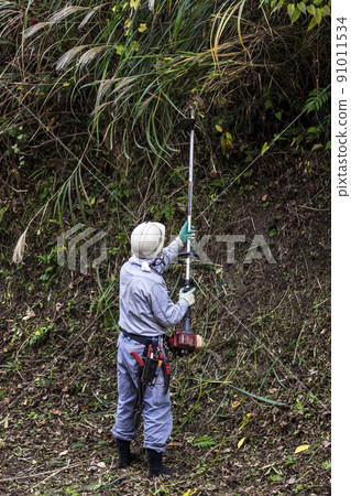 A planter who cuts thickly overgrown weeds with an electric mower A planter who cuts thickly overgrown weeds with an electric mower 91011534