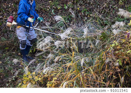 A planter who cuts thickly overgrown weeds with an electric mower 91011541
