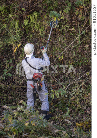 A planter who cuts thickly overgrown weeds with an electric mower 91011557