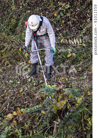 A planter who cuts thickly overgrown weeds with an electric mower A planter who cuts thickly overgrown weeds with an electric mower 91011559