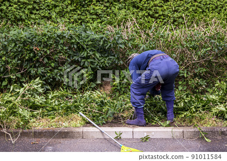 清掃和清理修剪過的雜草的播種機 91011584