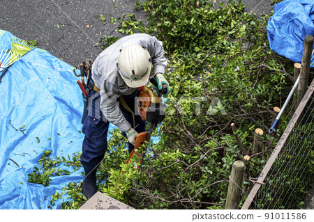 用電動割草機修剪雜草的種植者 用電動割草機修剪雜草的種植者 91011586