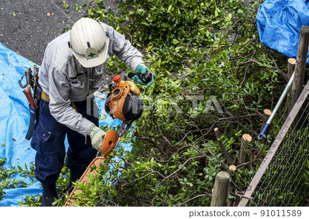 A planter who prunes overgrown weeds with an electric mower A planter who prunes overgrown weeds with an electric mower 91011589