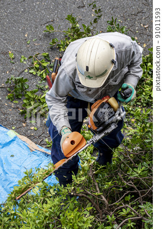 A planter who prunes overgrown weeds with an electric mower 91011593