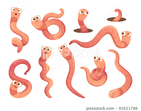 Worms. Cartoon insects in action poses bugs mascot with funny faces creeping crawlers exact vector illustrations 91011786