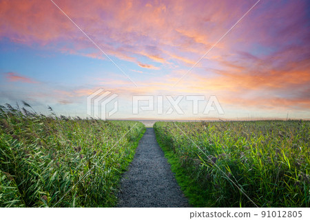 Trail to the beach in a colourful sunset Trail to the beach in a colourful sunset 91012805