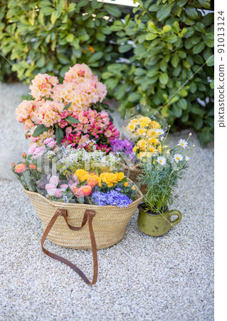 Flowers in garden Flowers in garden 91013124