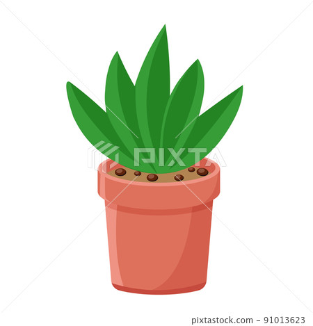 Aloe in pot isolated vector Aloe in pot isolated vector 91013623
