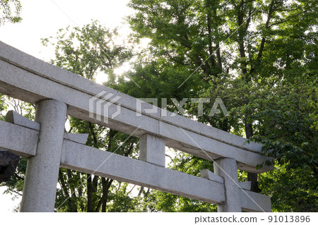 鳥居,神社,神社和寺廟,小樽,住吉神社,旅遊景點,寺廟和神社,轄區,崇拜,接近,崇拜,稻荷 鳥居,神社,神社和寺廟,小樽,住吉神社,旅遊景點,寺廟和神社,轄區,崇拜,接近,崇拜,稻荷 91013896