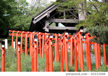 鳥居,神社,神社和寺廟,小樽,住吉神社,旅遊景點,寺廟和神社,轄區,崇拜,接近,崇拜,稻荷 鳥居,神社,神社和寺廟,小樽,住吉神社,旅遊景點,寺廟和神社,轄區,崇拜,接近,崇拜,稻荷 91013898